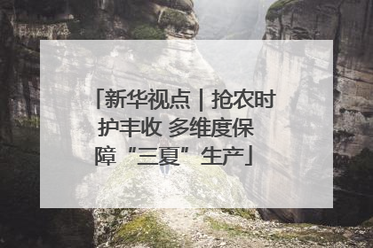 新华视点｜抢农时 护丰收 多维度保障“三夏”生产