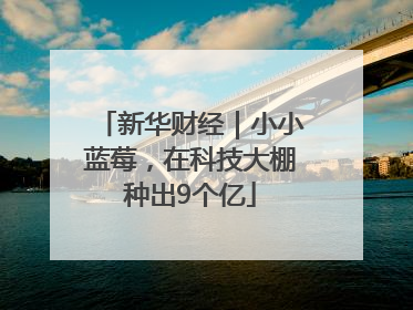 新华财经｜小小蓝莓，在科技大棚种出9个亿
