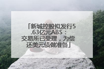 新城控股拟发行5.63亿元ABS：交易所已受理，为偿还美元债做准备