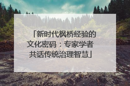 新时代枫桥经验的文化密码：专家学者共话传统治理智慧