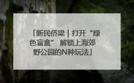新民侨梁｜打开“绿色盲盒” 解锁上海郊野公园的N种玩法