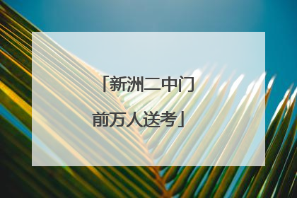 新洲二中门前万人送考