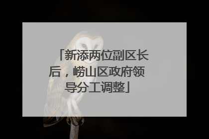 新添两位副区长后，崂山区政府领导分工调整