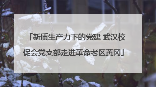 新质生产力下的党建 武汉校促会党支部走进革命老区黄冈
