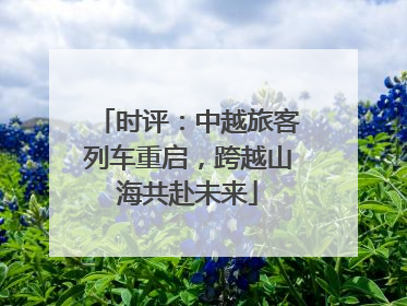 时评：中越旅客列车重启，跨越山海共赴未来