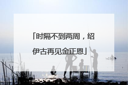 时隔不到两周，绍伊古再见金正恩