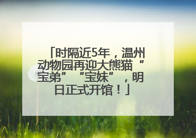 时隔近5年，温州动物园再迎大熊猫“宝弟”“宝妹”，明日正式开馆！