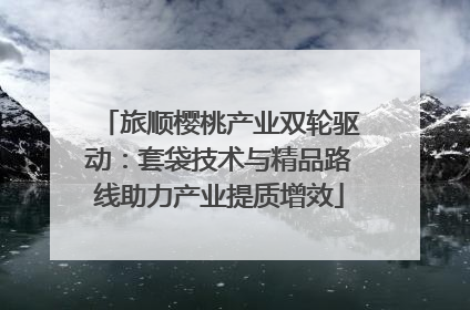 旅顺樱桃产业双轮驱动：套袋技术与精品路线助力产业提质增效