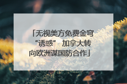 无视美方免费金穹“诱惑” 加拿大转向欧洲谋国防合作