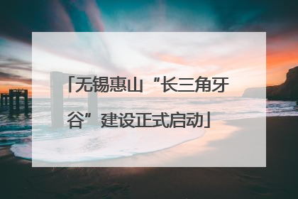 无锡惠山“长三角牙谷”建设正式启动