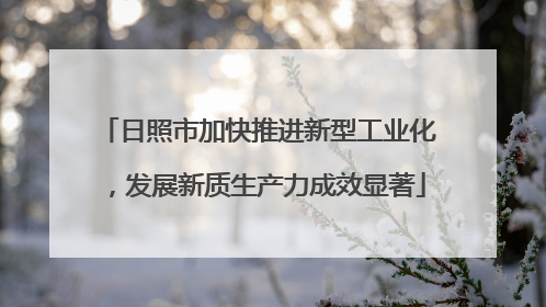 日照市加快推进新型工业化，发展新质生产力成效显著