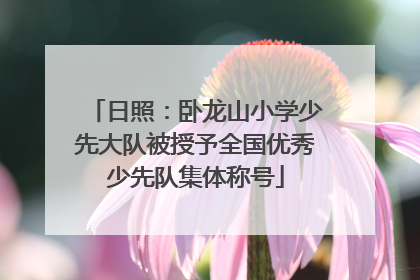 日照：卧龙山小学少先大队被授予全国优秀少先队集体称号