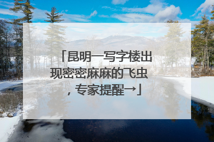 昆明一写字楼出现密密麻麻的飞虫，专家提醒→
