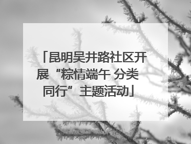 昆明吴井路社区开展“粽情端午 分类同行”主题活动