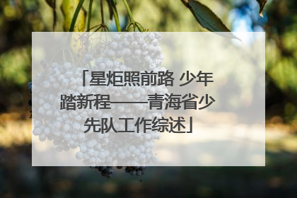 星炬照前路 少年踏新程——青海省少先队工作综述
