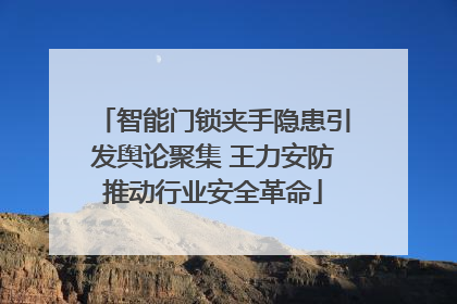 智能门锁夹手隐患引发舆论聚集 王力安防推动行业安全革命
