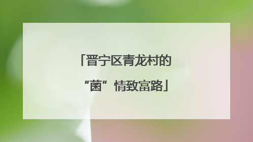晋宁区青龙村的“菌”情致富路