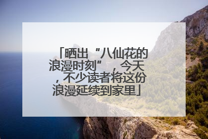 晒出“八仙花的浪漫时刻”，今天，不少读者将这份浪漫延续到家里