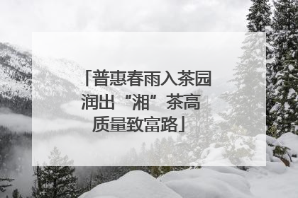 普惠春雨入茶园 润出“湘”茶高质量致富路