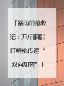 暴雨前抢收记：万斤胭脂红鲜桃传递“双向甜蜜”