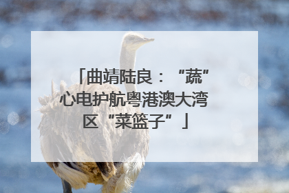 曲靖陆良：“蔬”心电护航粤港澳大湾区“菜篮子”