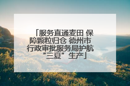 服务直通麦田 保障颗粒归仓 德州市行政审批服务局护航“三夏”生产