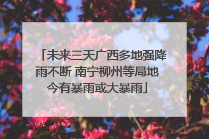 未来三天广西多地强降雨不断 南宁柳州等局地今有暴雨或大暴雨