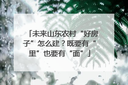 未来山东农村“好房子”怎么建？既要有“里”也要有“面”