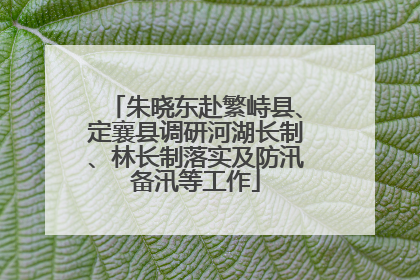 朱晓东赴繁峙县、定襄县调研河湖长制、林长制落实及防汛备汛等工作