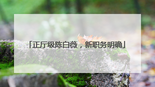 正厅级陈白薇，新职务明确