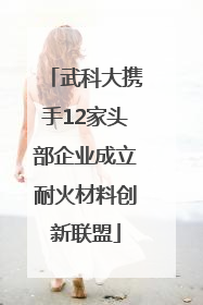 武科大携手12家头部企业成立耐火材料创新联盟