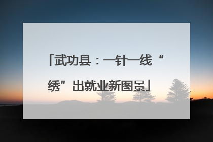 武功县：一针一线“绣”出就业新图景