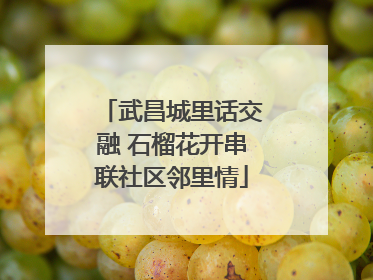 武昌城里话交融 石榴花开串联社区邻里情