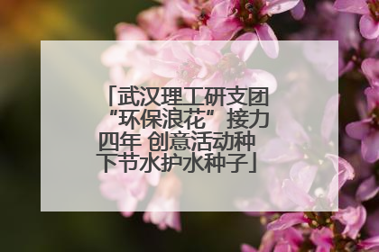 武汉理工研支团“环保浪花”接力四年 创意活动种下节水护水种子