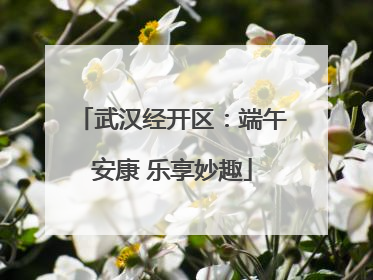 武汉经开区：端午安康 乐享妙趣