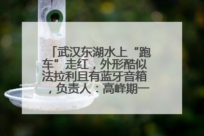 武汉东湖水上“跑车”走红，外形酷似法拉利且有蓝牙音箱，负责人：高峰期一两百人排队