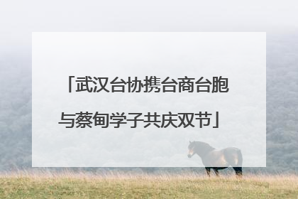 武汉台协携台商台胞与蔡甸学子共庆双节