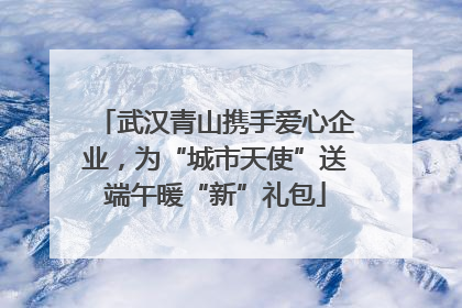 武汉青山携手爱心企业，为“城市天使”送端午暖“新”礼包
