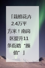 栽植花卉2.4万平方米！南岗区提升11条街路“颜值”
