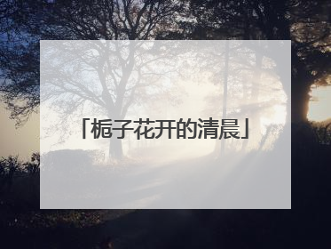 栀子花开的清晨