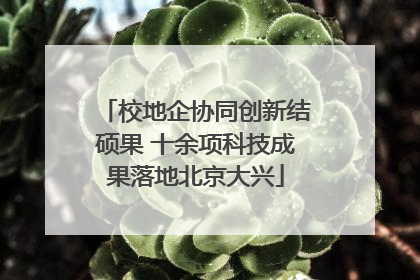 校地企协同创新结硕果 十余项科技成果落地北京大兴