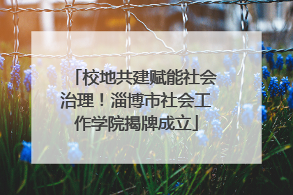 校地共建赋能社会治理！淄博市社会工作学院揭牌成立