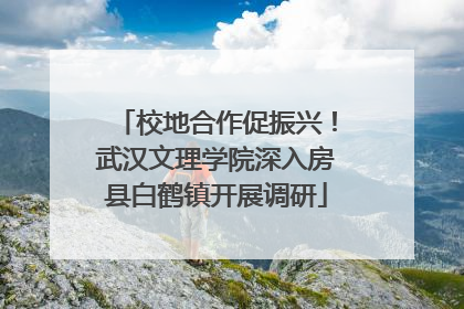 校地合作促振兴！武汉文理学院深入房县白鹤镇开展调研