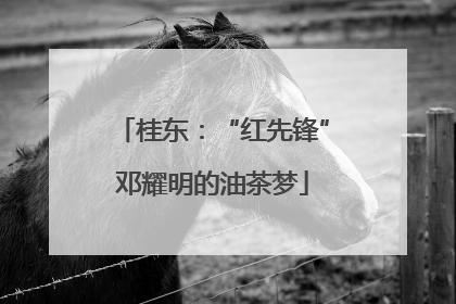 桂东：“红先锋”邓耀明的油茶梦