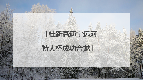 桂新高速宁远河特大桥成功合龙