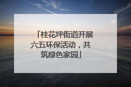 桂花坪街道开展六五环保活动，共筑绿色家园