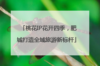 桃花IP花开四季，肥城打造全域旅游新标杆