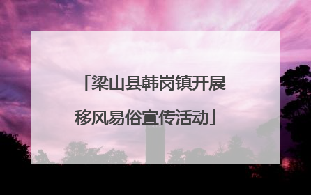 梁山县韩岗镇开展移风易俗宣传活动