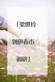 梁惠玲到伊春市调研