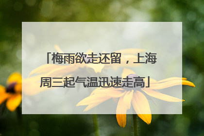 梅雨欲走还留，上海周三起气温迅速走高
